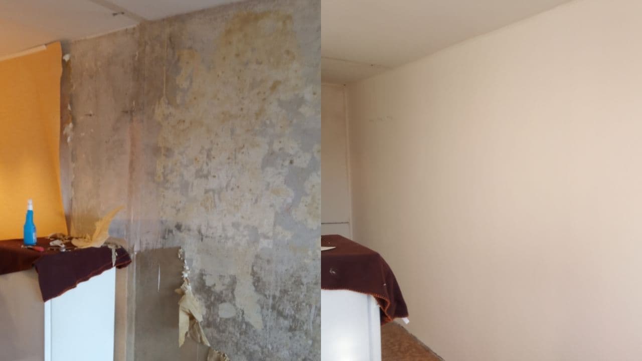 Professional renovace stěny project completed by Adam verified tradespeople